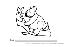 K-wie-Koala.pdf